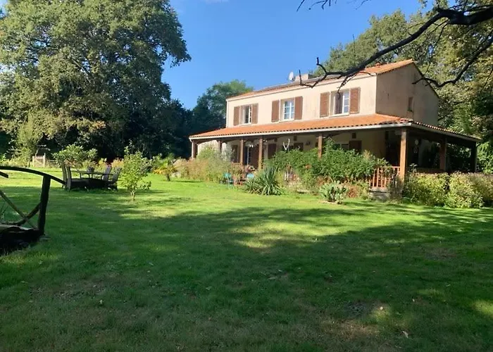 D'hôtes Sous Les Grands Chênes Scandinave Couette-café *